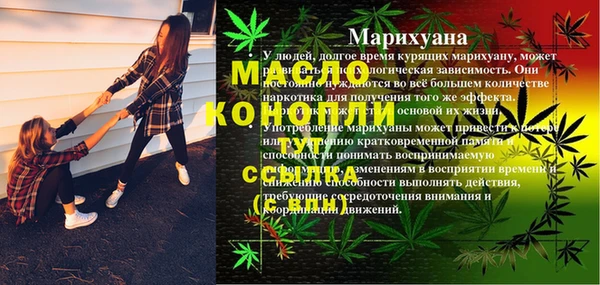 мдпв Осинники