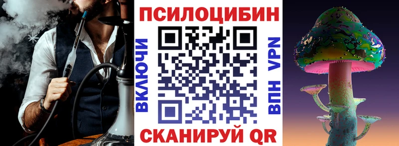 наркошоп  Чекалин  Псилоцибиновые грибы Psilocybe 